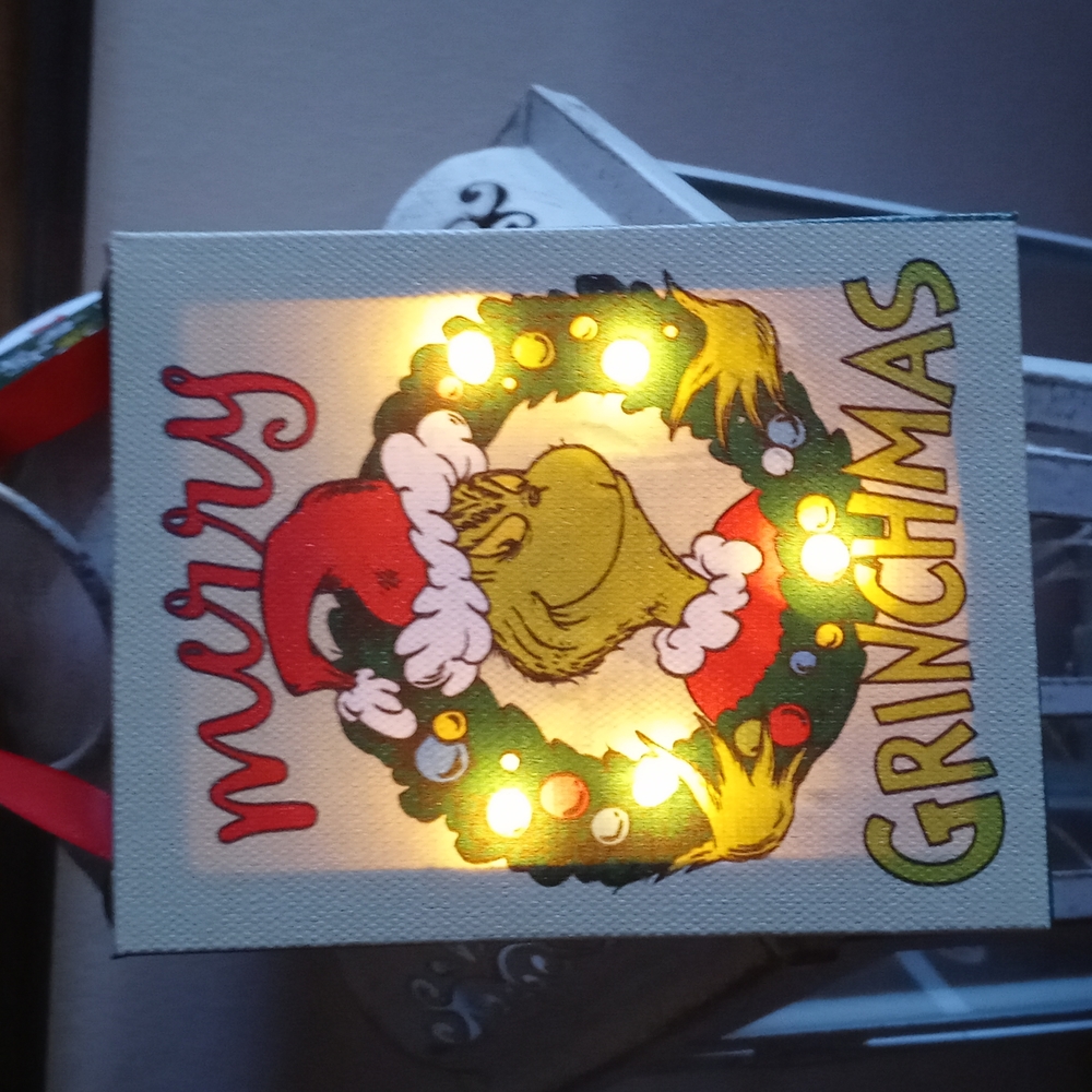 Grinch Light Up Canvas Ornament